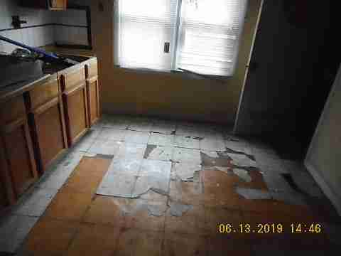 8266 Badger (29)_m.jpg